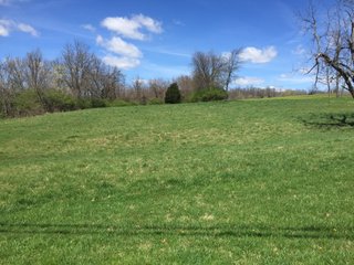 Property photo 25 - REAL ESTATE & LAND AUCTION - 105+/- ACRES IN 4 TRACTS IN BUTLER COUNTY, OHIO